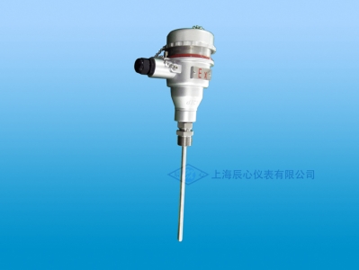 上海辰心铠装型热电偶